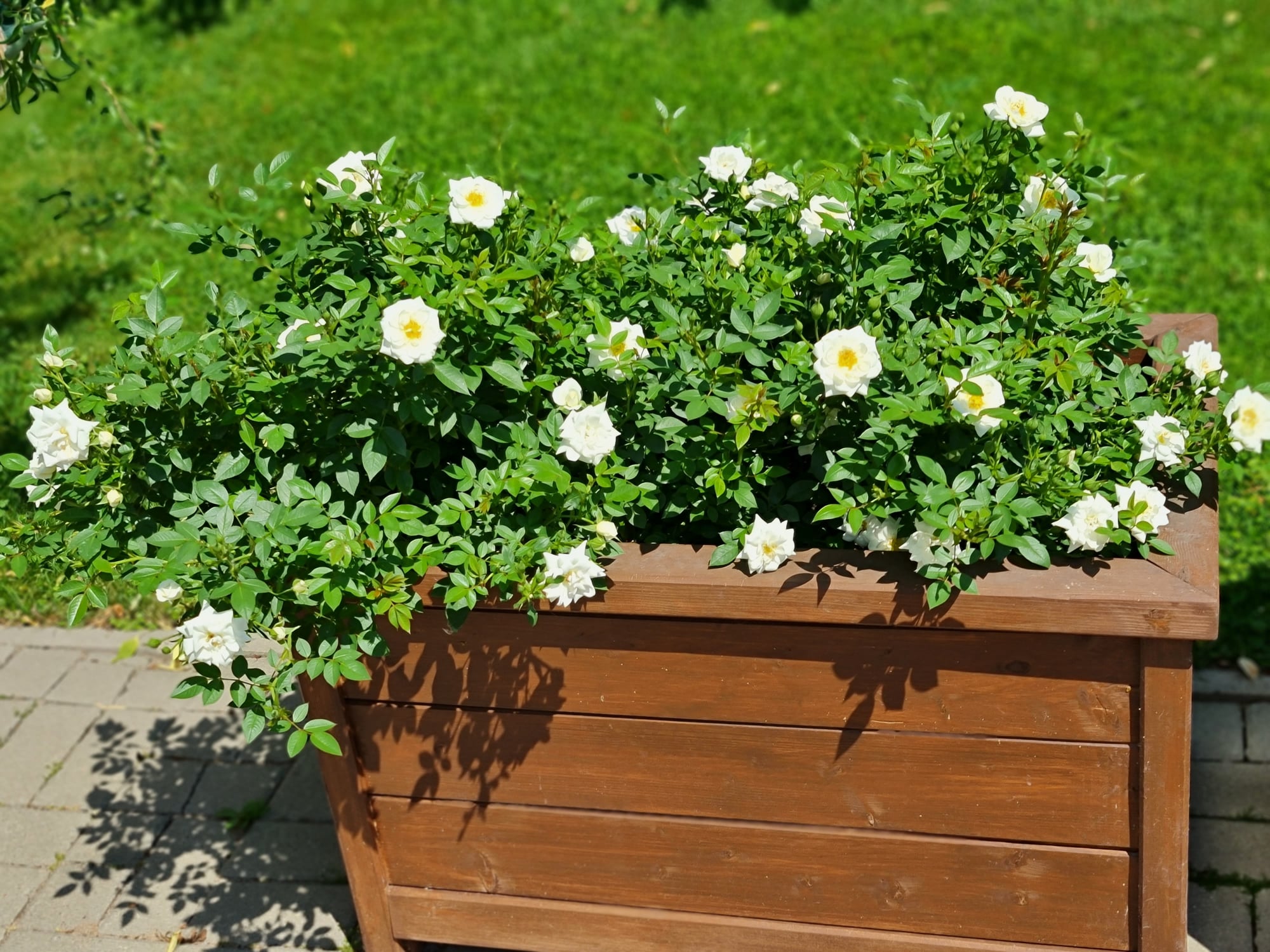 Inventář a dekorace