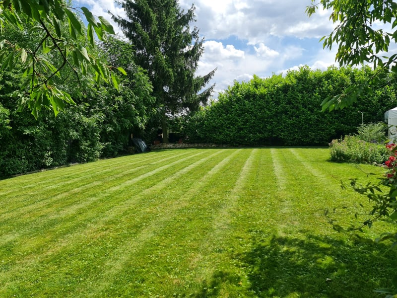 Inventář a dekorace