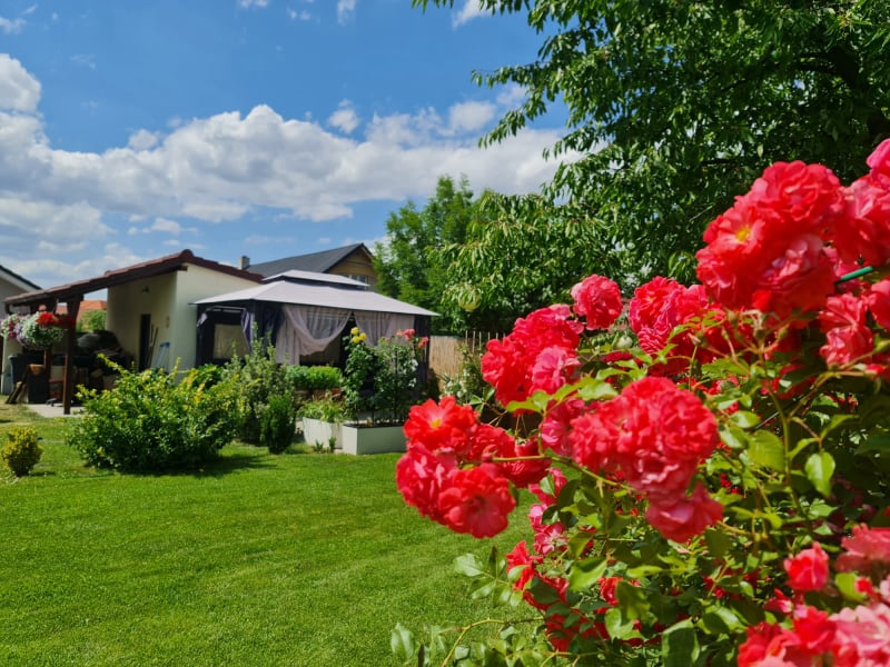 Inventář a dekorace