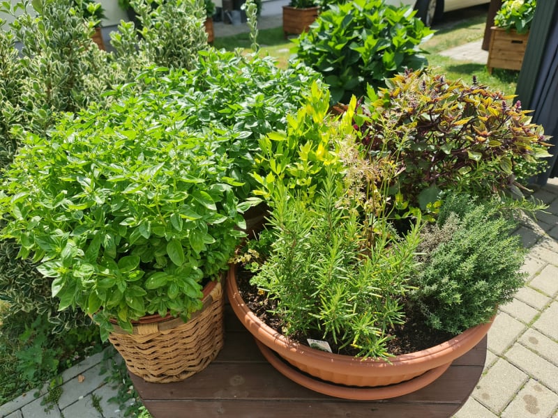 Inventář a dekorace