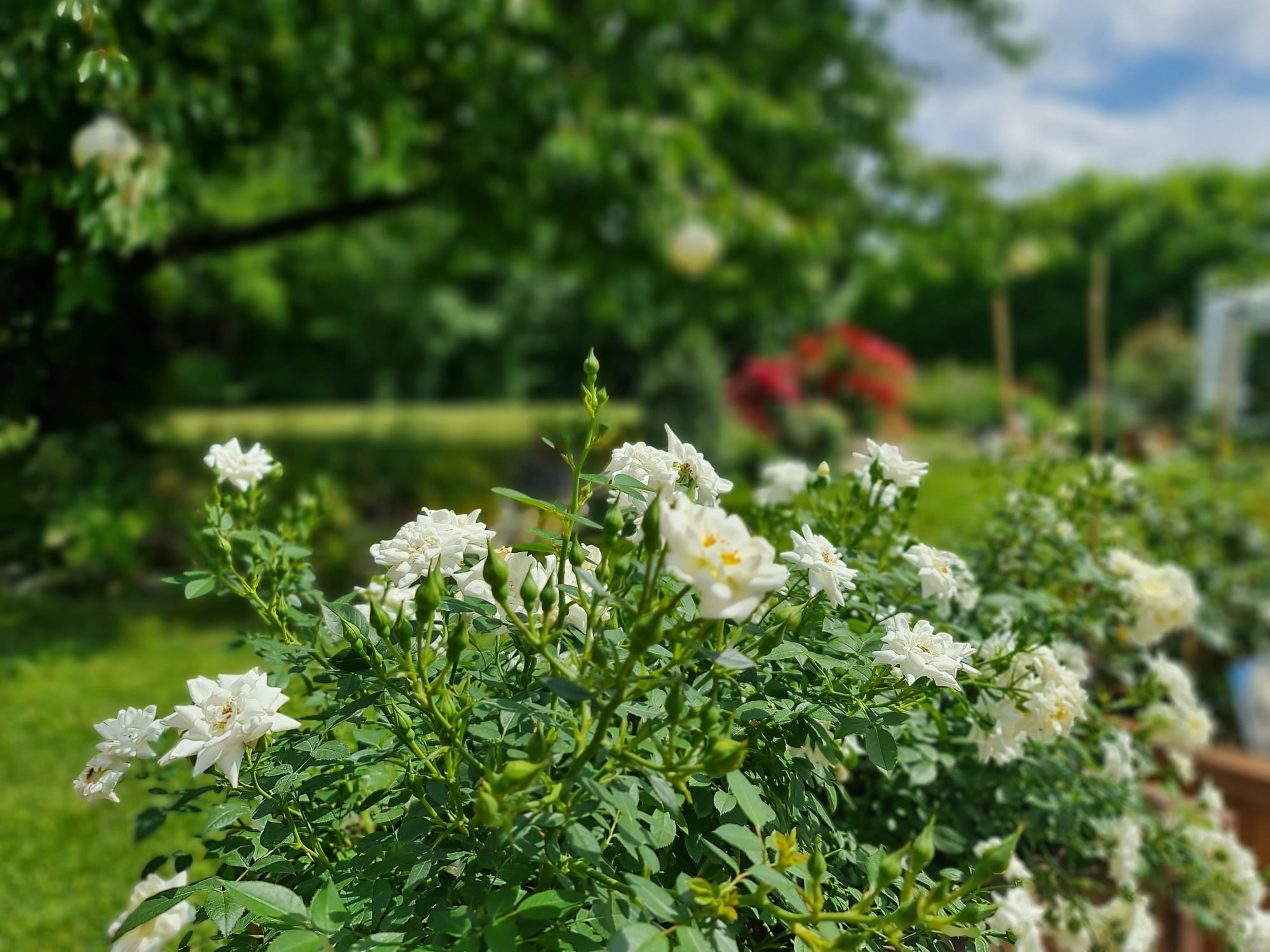Inventář a dekorace